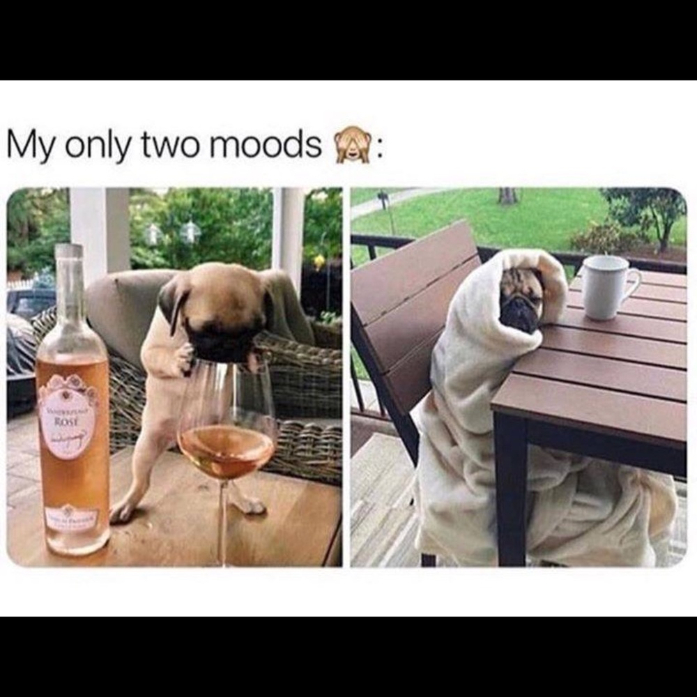 Meet your Posher, Mandie